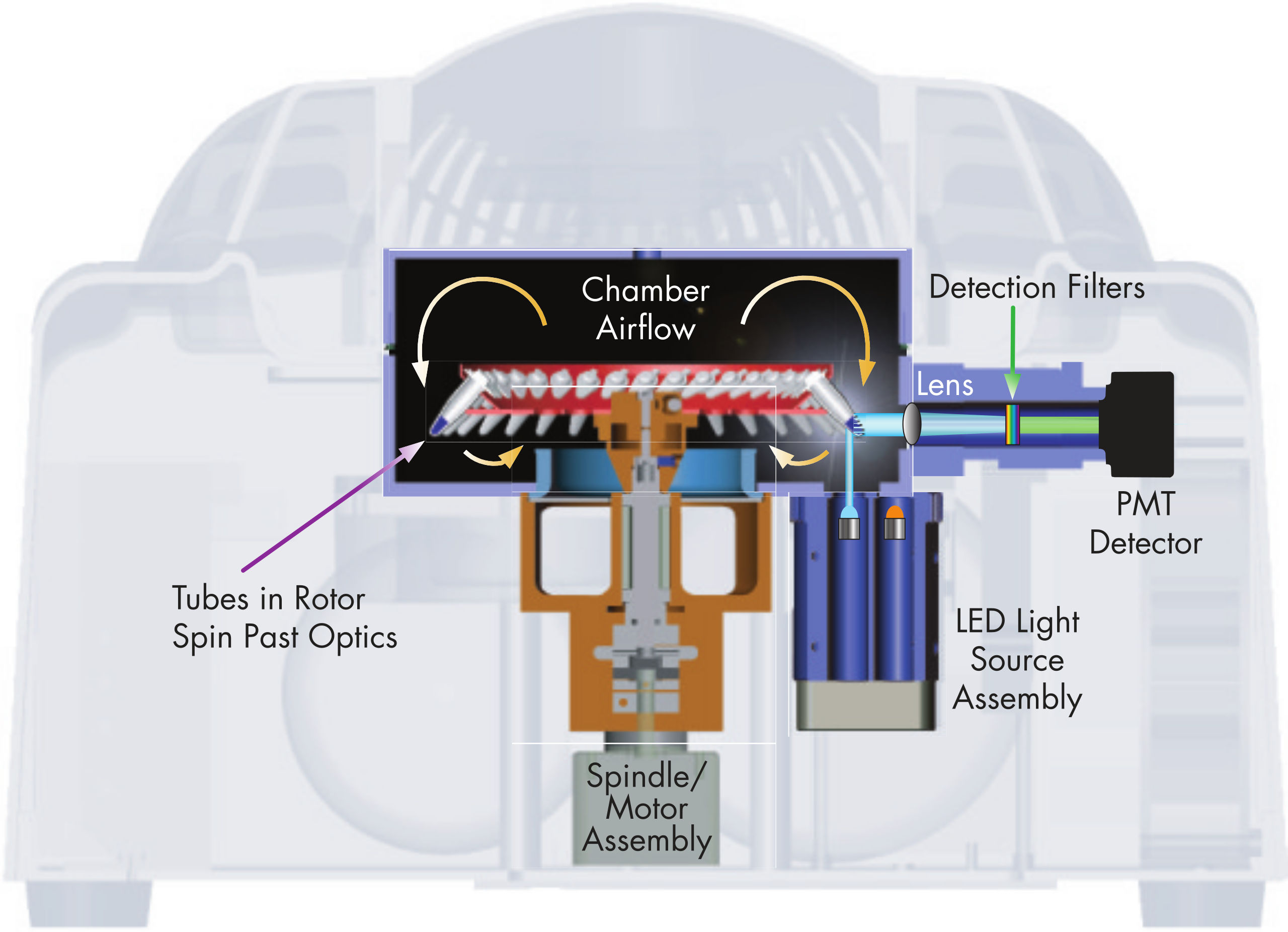 QIAGEN Rotor-Gene Q internal architecture — sample tubes spin past LED light source, lens, detection filters, and PMT detector while chamber airflow maintains uniform temperature. Diagram courtesy of QIAGEN.